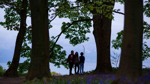 Visitors among trees at Badbury Clump, Oxfordshire